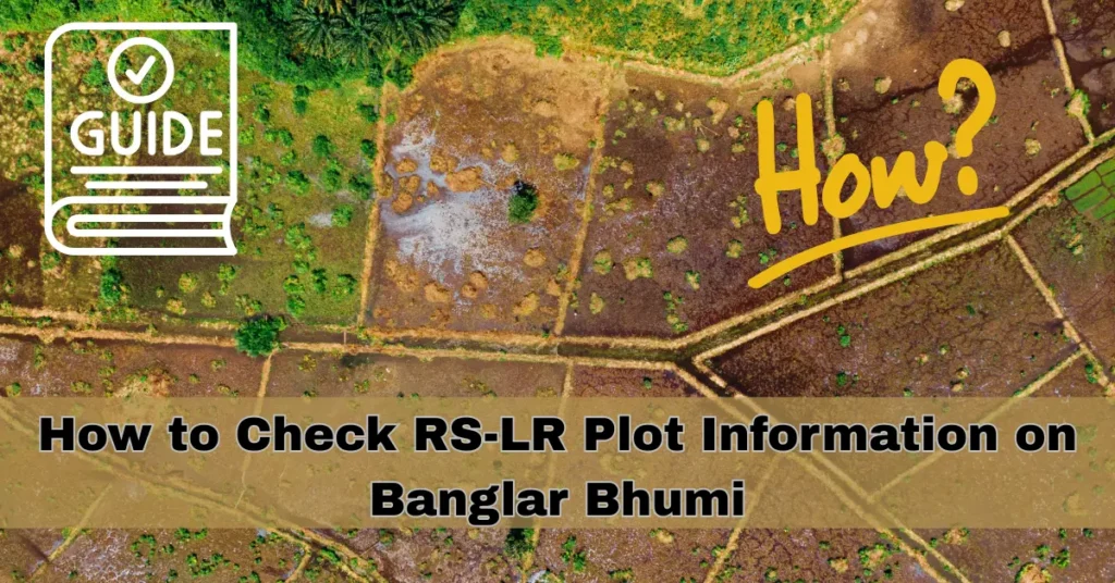 How to Check RS-LR Plot Information 